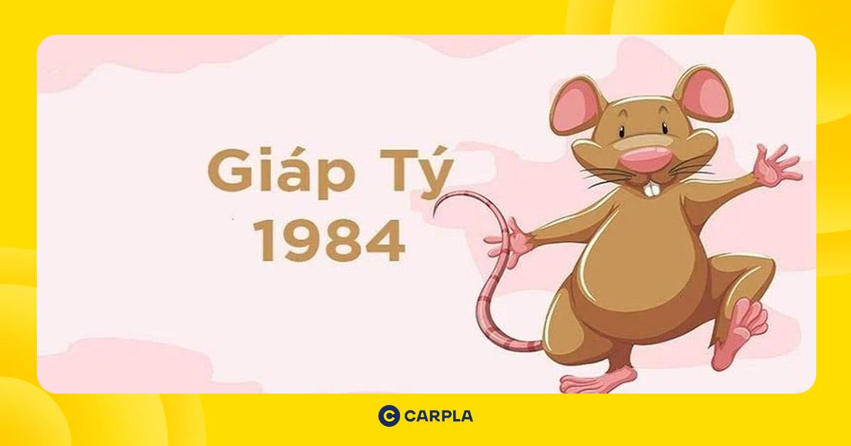 Xe màu trắng, xám, bạc là lựa chọn lý tưởng hợp phong thủy tuổi Giáp Tý 1984